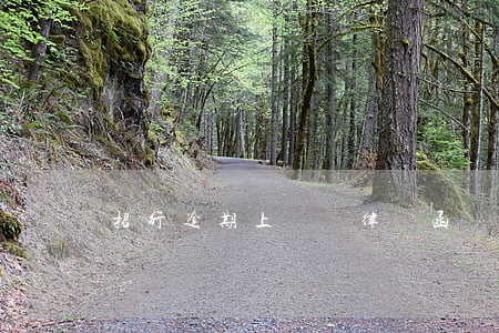 招行逾期上門給律師函