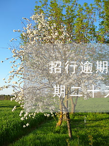招行逾期二十天可以按最低还款吗-招行逾期二十天可以按最低还款吗