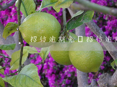 招行逾期免費(招行逾期免費)