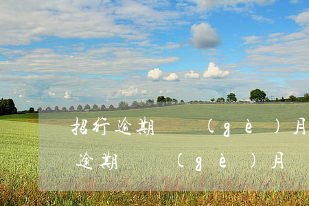 招行逾期兩個(gè)月還款還能用嗎(招行逾期兩個(gè)月還款還能用嗎微信)