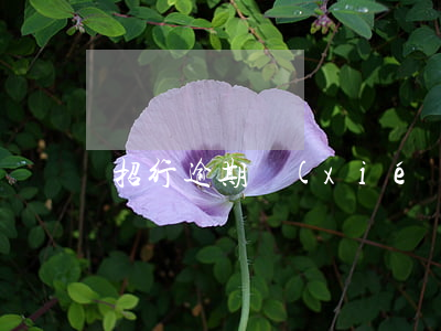 招行逾期協(xié)商2年