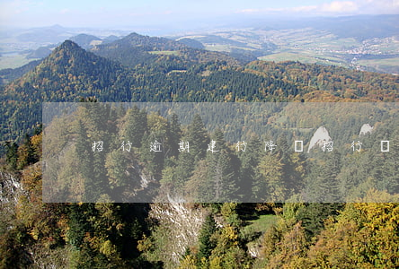 招行逾期建行降額(招行還款后被降額)