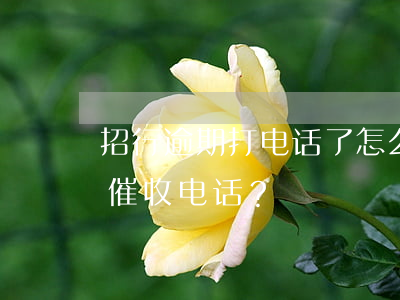 招行逾期打电话了怎么办，如何应对招行逾期催收电话？