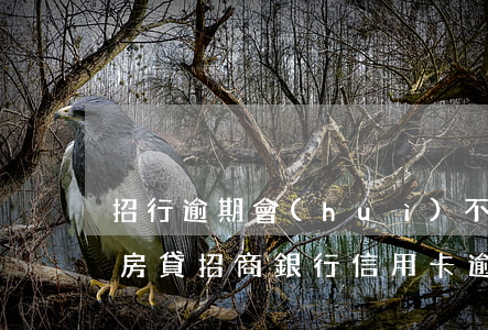招行逾期會(huì)不會(huì)影響房貸(招商銀行信用卡逾期多久會(huì)對(duì)信用有影響)