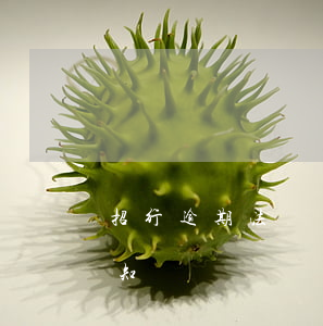 招行逾期法務(wù)訴訟(招商銀行法訴通知)