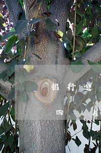 招行逾期發消息說要提起訴訟(招商銀行逾期四個月發短信說要起訴怎么辦)