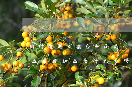招行逾期立案告知函是什么号码-招行逾期立案告知函是什么号码啊