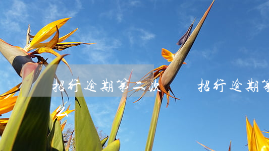 招行逾期第二次賬單(招行逾期第二次賬單怎么還)