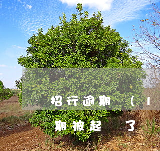 招行逾期聯(lián)合起訴 招商銀行逾期被起訴了還可以協(xié)商嗎