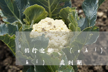 招行逾期臨時(shí)額度(招行臨時(shí)額度到期)