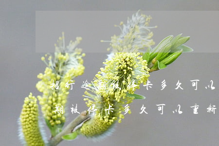 招行逾期被停卡多久可以重新申卡-招行逾期被停卡多久可以重新申卡呢