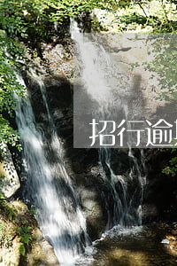 招行逾期說起訴