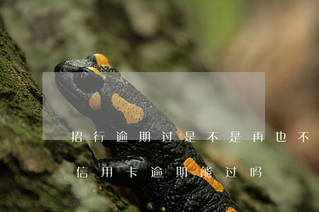 招行逾期过是不是再也不能办信用卡了（招商信用卡逾期能过吗）