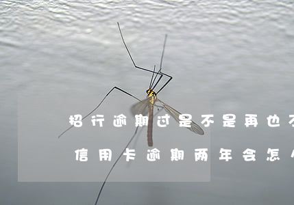 招行逾期过是不是再也不能办信用卡了（招行信用卡逾期两年会怎么样）
