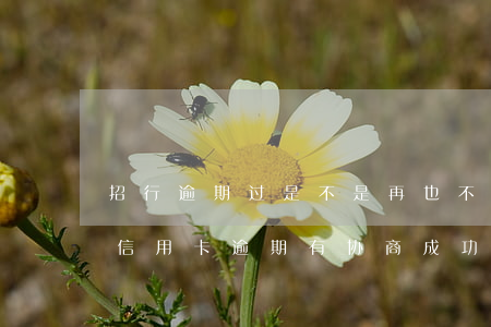 招行逾期过是不是再也不能办信用卡了（招行信用卡逾期有协商成功的吗）