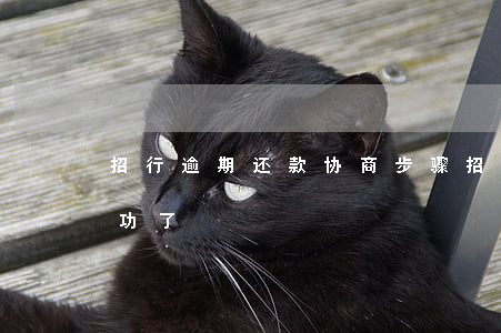 招行逾期还款协商步骤(招行协商还款终于成功了)