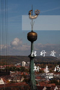 招行逾期违约金和利息什么时候收-招行逾期违约金和利息什么时候收取