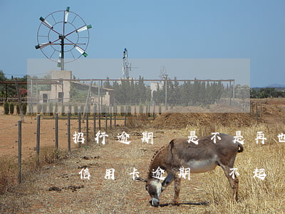 招行逾期過是不是再也不能辦信用卡了（招商信用卡逾期還不起）