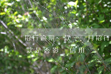 招行逾期還款一個月(招行信用卡逾期1天還款是否影響信用記錄?)