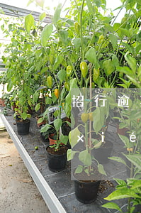 招行逾期還款協(xié)商步驟(招行協(xié)商還款終于成功了)