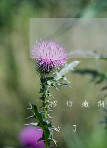 招行逾期還款協商步驟(招行協商還款終于成功了)