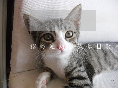 招行逾期還款后還能用嗎