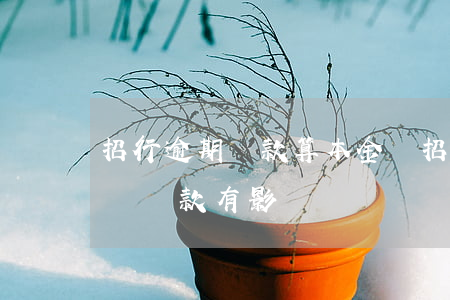 招行逾期還款算本金嗎(招商銀行逾期一天全額還款有影響嗎)