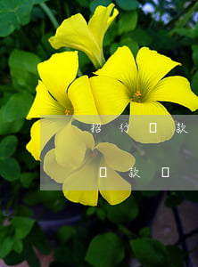 招行還款日最低逾期(招行信用卡逾期能最低還款嗎)