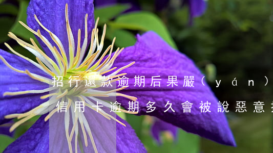 招行還款逾期后果嚴(yán)重(招商銀行信用卡逾期多久會被說惡意拖欠)