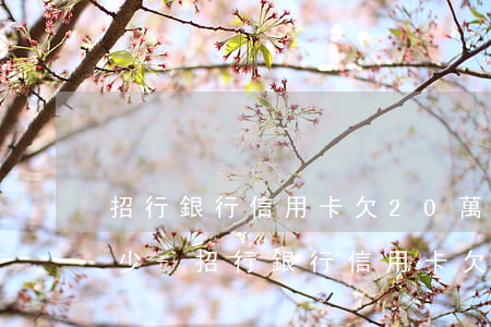 招行銀行信用卡欠20萬(wàn)利息多少-招行銀行信用卡欠20萬(wàn)利息多少錢