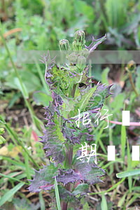 招行銀行信用卡逾期上門(招商銀行信用卡逾期兩個多月銀行說要上門)
