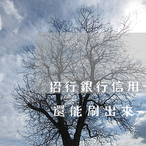 招行銀行信用卡逾期十天還進(jìn)去還能刷出來-招行銀行信用卡逾期十天還進(jìn)去還能刷出來嗎