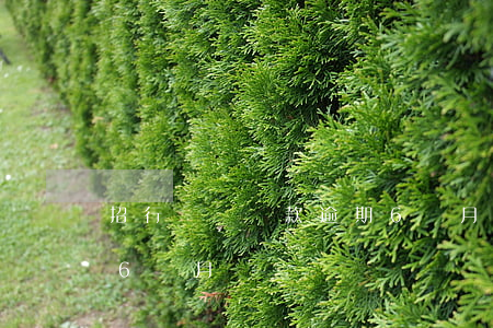 招行閃電貸款逾期6個月(招行閃電貸款逾期6個月)