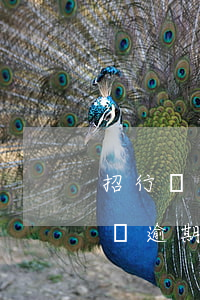 招行閃電貸逾期一直扣卡里的錢-招行閃電貸逾期一直扣卡里的錢怎么辦
