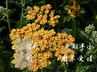 招行閃電貸逾期半小時(shí)有事嗎(招行閃電貸周末受理嗎)