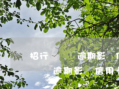 招行閃電貸逾期影響信用卡使用嗎-招行閃電貸逾期影響信用卡使用嗎知乎