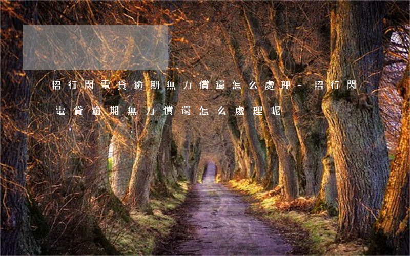 招行閃電貸逾期無力償還怎么處理-招行閃電貸逾期無力償還怎么處理呢