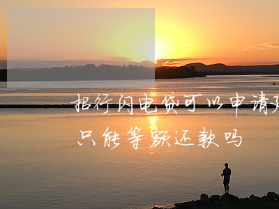 招行闪电贷可以申请延期还款吗(招行闪电贷只能等额还款吗)
