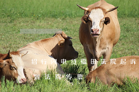 招行闪电贷福田法院起诉（招行闪电贷逾期收到法院传票）