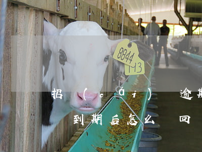 招財(cái)寶逾期不還(招財(cái)寶到期后怎么贖回)