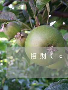 招財(cái)貓招聘