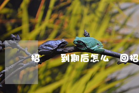 招財寶到期后怎么贖回（招財寶逾期怎么辦）