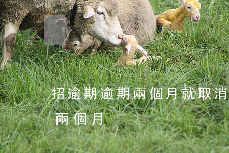 招逾期逾期兩個月就取消分期了-招商逾期兩個月
