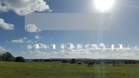 招集令沒有逾期可以主動協(xié)商嗎-