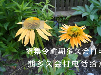 招集令逾期多久会打电话给家人-招集令逾期多久会打电话给家人呢