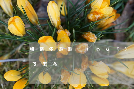 招集令逾期會(huì)起訴嗎(召集令逾期了怎么辦)