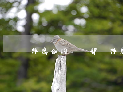 拜泉合同糾紛律師(拜泉縣法院人員名單)