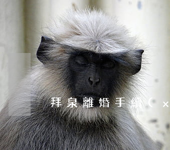 拜泉離婚手續(xù)怎么辦