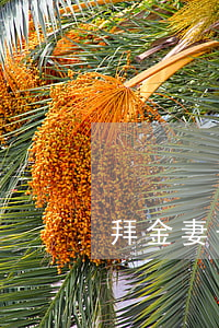 拜金妻子要离婚(拜金妻子要离婚)