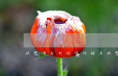 拱墅债务纠纷律师排名(拱墅律师事务所)